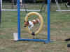 20030817 Rikkie.jpg (37663 bytes)