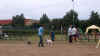 20030824 Agility Boxers Utrecht 01.jpg (21863 bytes)