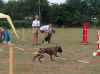 20030824 Cujo Estafette start Henry.jpg (34963 bytes)