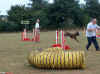 20030824 Henry 01.jpg (38052 bytes)