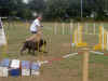 20030824 Henry 05.jpg (28088 bytes)