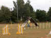20030824 Toos Janto 01.jpg (31157 bytes)
