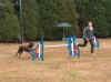 20030831 CujoGunther 03.jpg (38565 bytes)