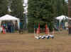 20030831 Cujo.jpg (38525 bytes)