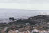 Ecu509.jpg (23970 bytes)