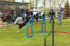 Jump Unknown 03.jpg (37742 bytes)