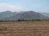 Peru052.jpg (25251 bytes)