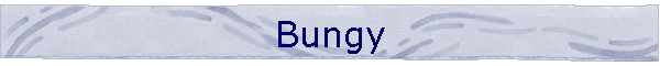 Bungy