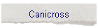 Canicross